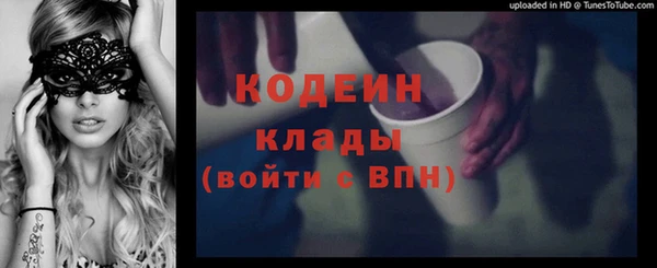прущие грибы Абинск
