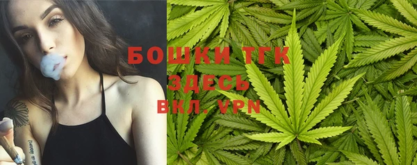 стаф Абаза