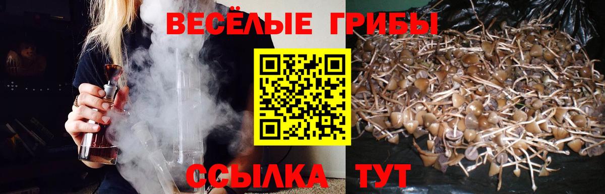 ГЕРОИН Карпинск